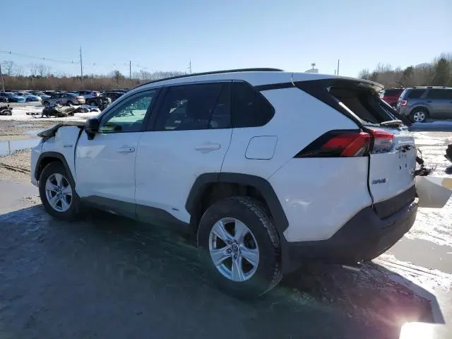 2019 TOYOTA RAV4 LE