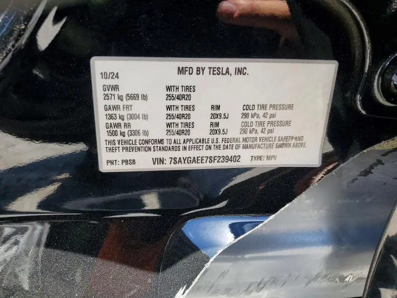 2025 TESLA MODEL Y   