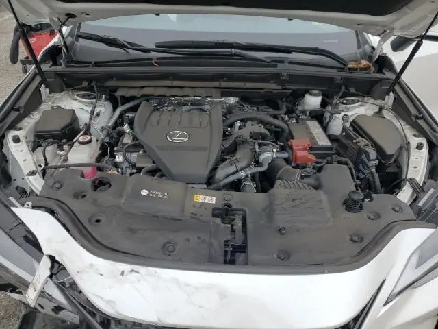 2024 LEXUS NX 350 BASE  