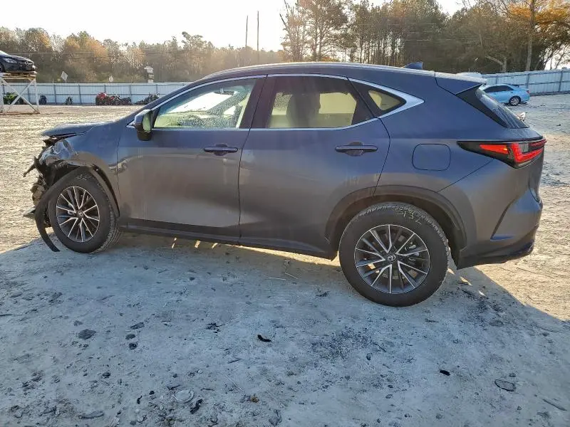 2025 LEXUS NX 250 BASE  