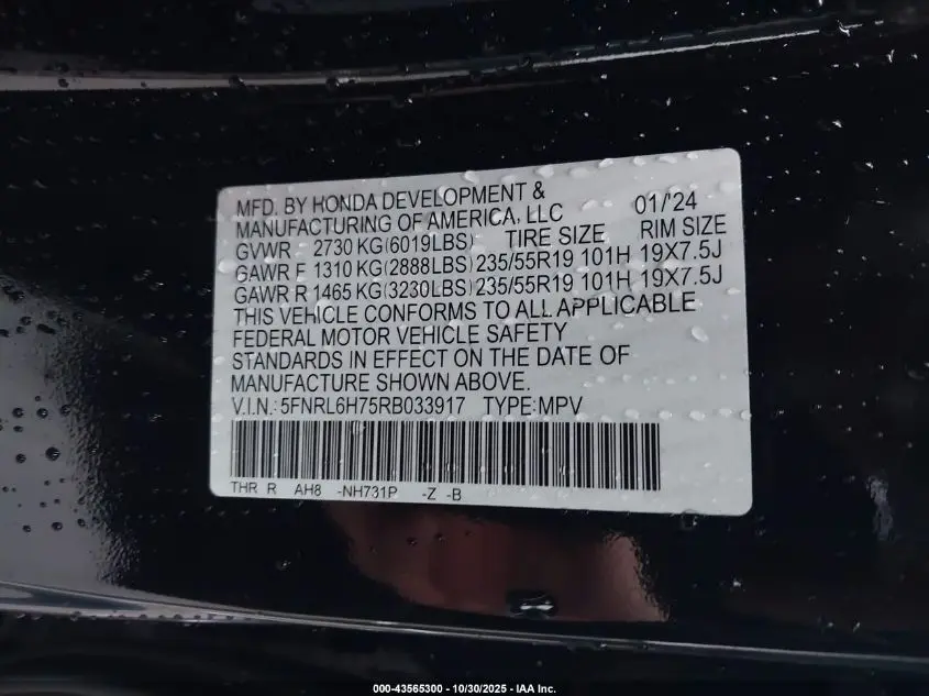 2024 HONDA ODYSSEY SPORT