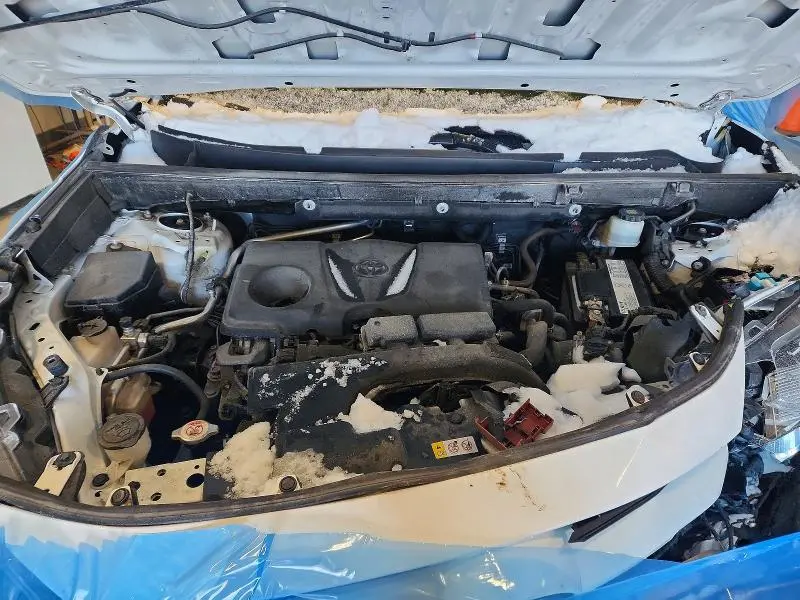 2019 TOYOTA RAV4 XLE  