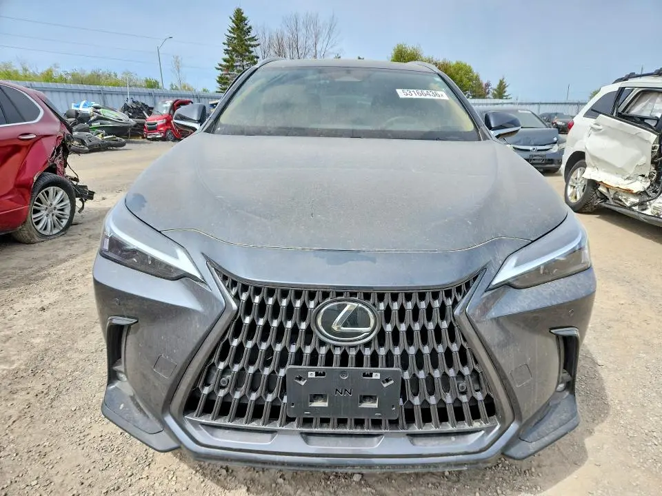 2026 LEXUS NX 350   