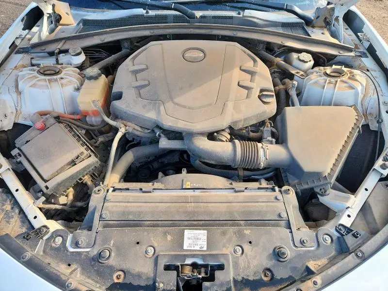2019 CHEVROLET CAMARO LS  