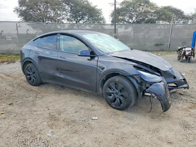2025 TESLA MODEL Y   