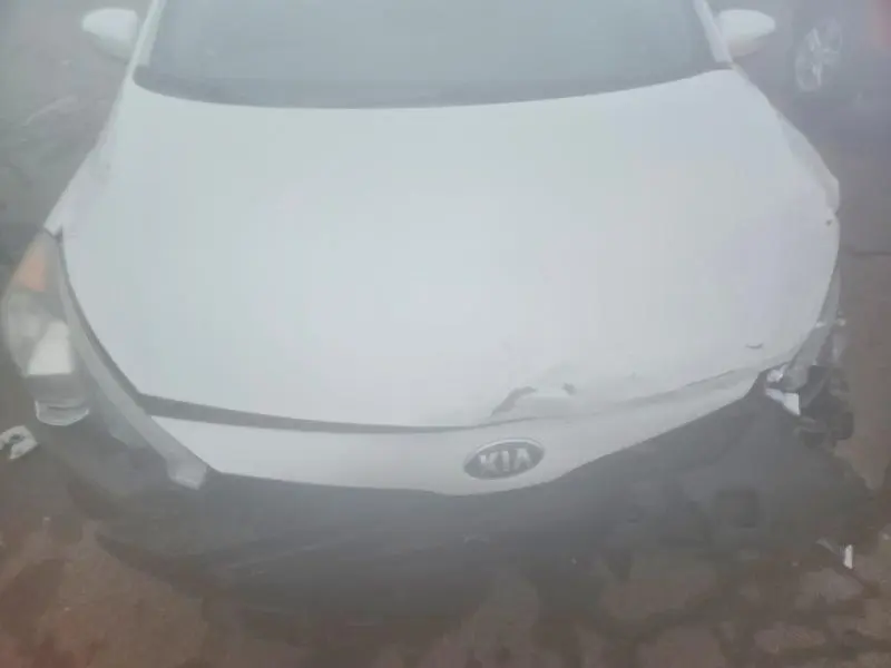 2015 KIA FORTE EX  