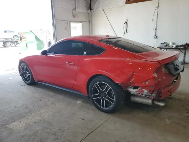 2019 FORD MUSTANG   