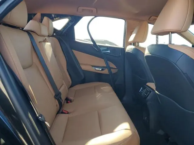 2025 LEXUS NX 250 BASE  
