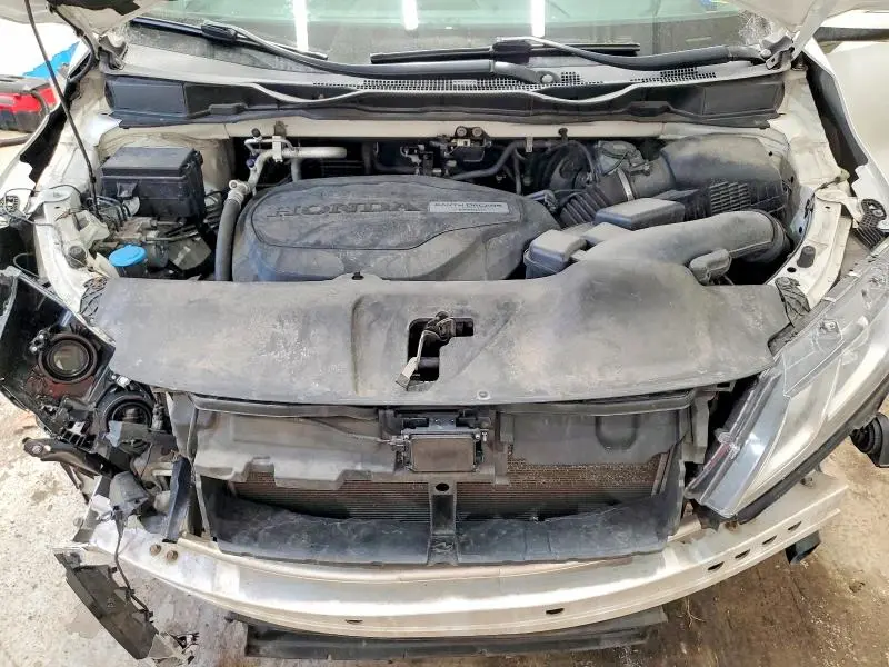 2019 HONDA ODDESEY   