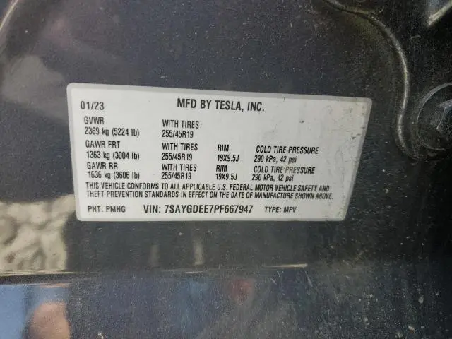 2023 TESLA MODEL Y 