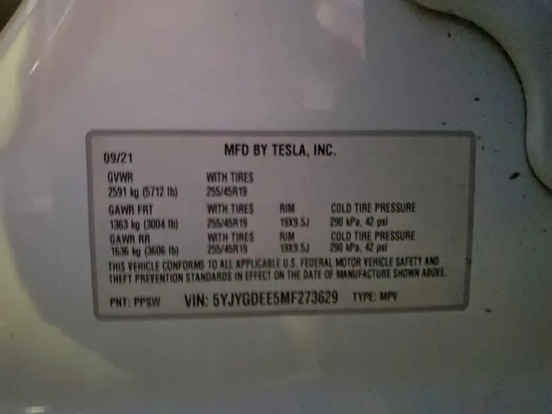2021 TESLA MODEL Y   
