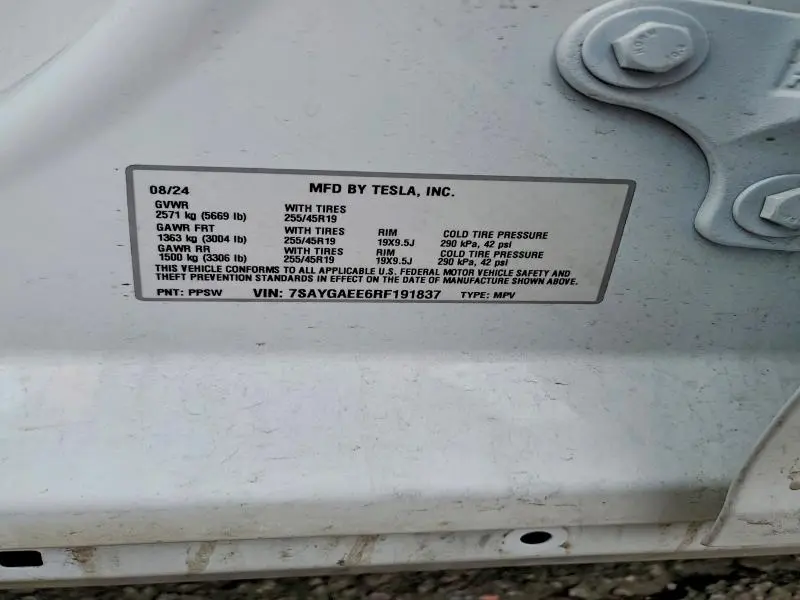 2024 TESLA MODEL Y   