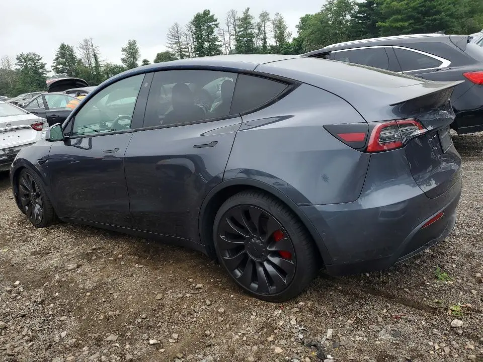 2021 TESLA MODEL Y   