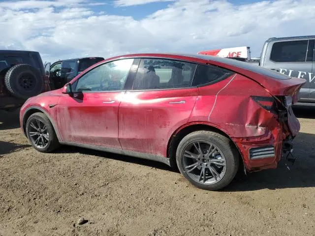 2025 TESLA MODEL Y 