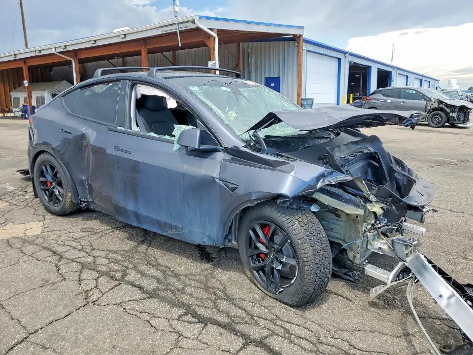 2025 TESLA MODEL Y   