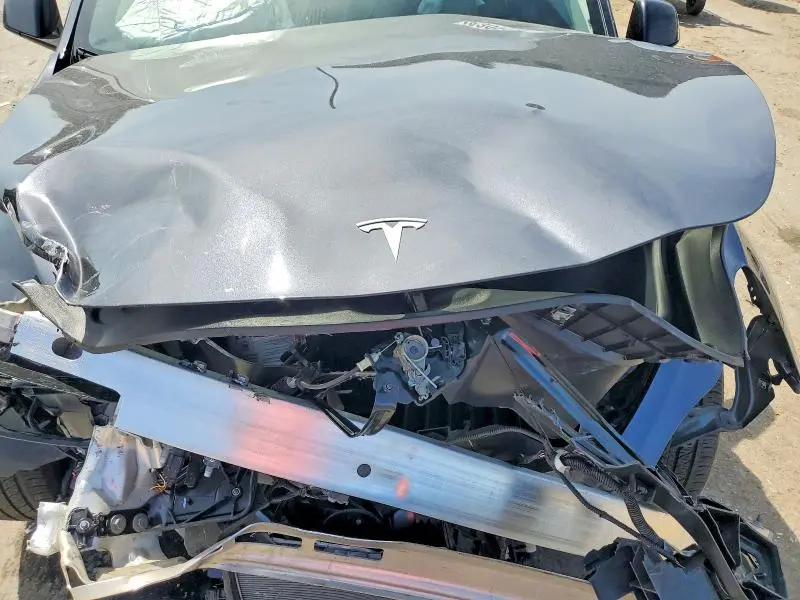 2025 TESLA MODEL Y   