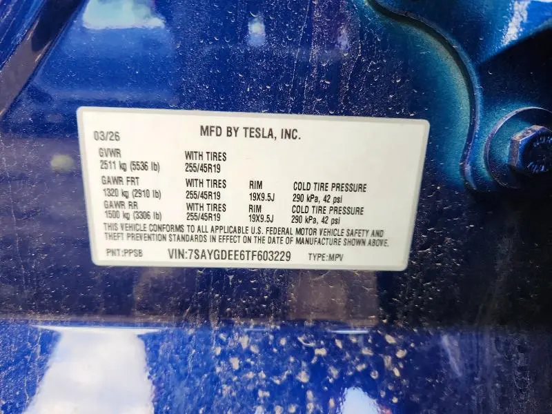 2026 TESLA MODEL Y   