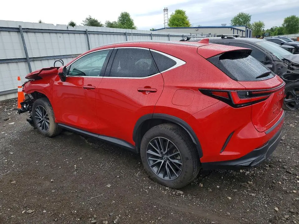 2024 LEXUS NX 250 BASE  