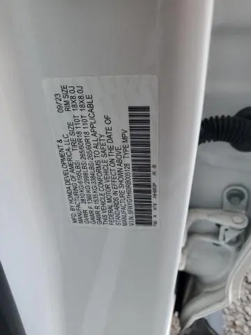 2024 HONDA PILOT TRAILSPORT  