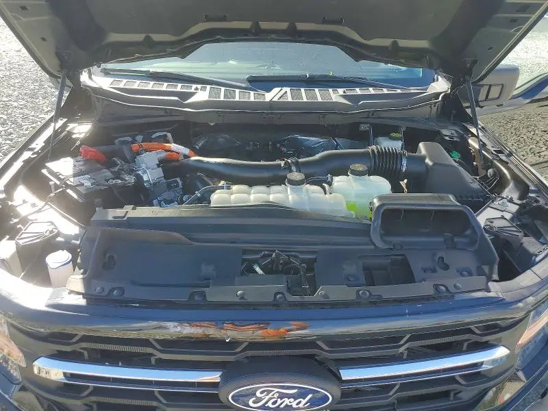2024 FORD F150 XLT  