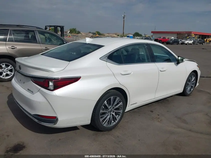 2019 LEXUS ES 300H  