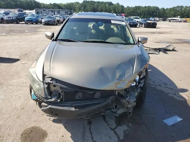 2010 HONDA ACCORD EXL  