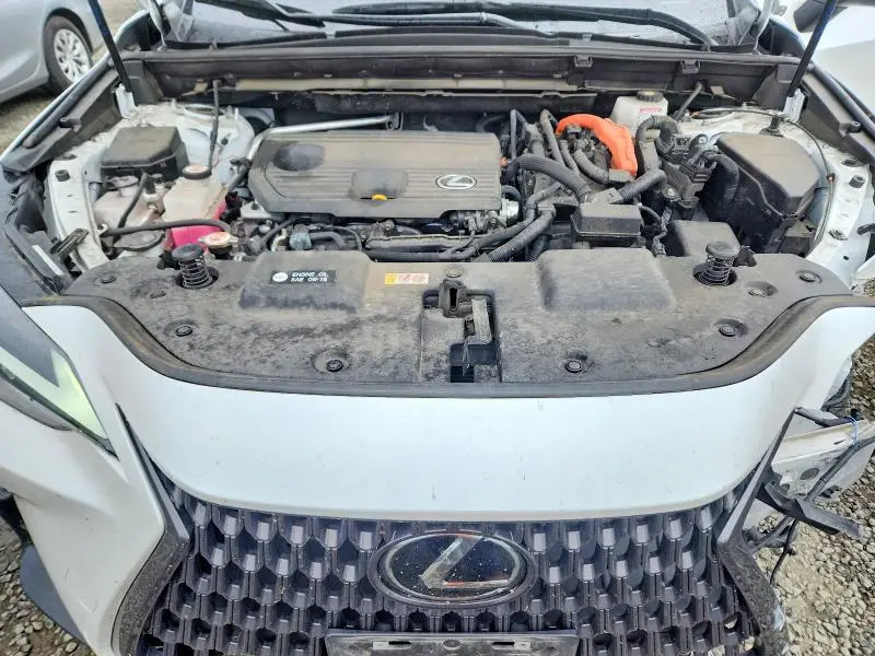 2023 LEXUS NX 350H  