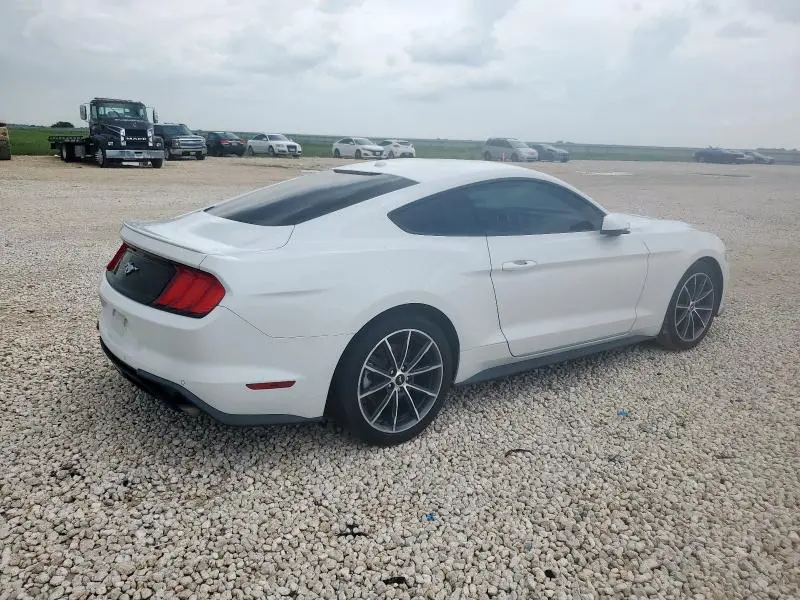 2019 FORD MUSTANG   