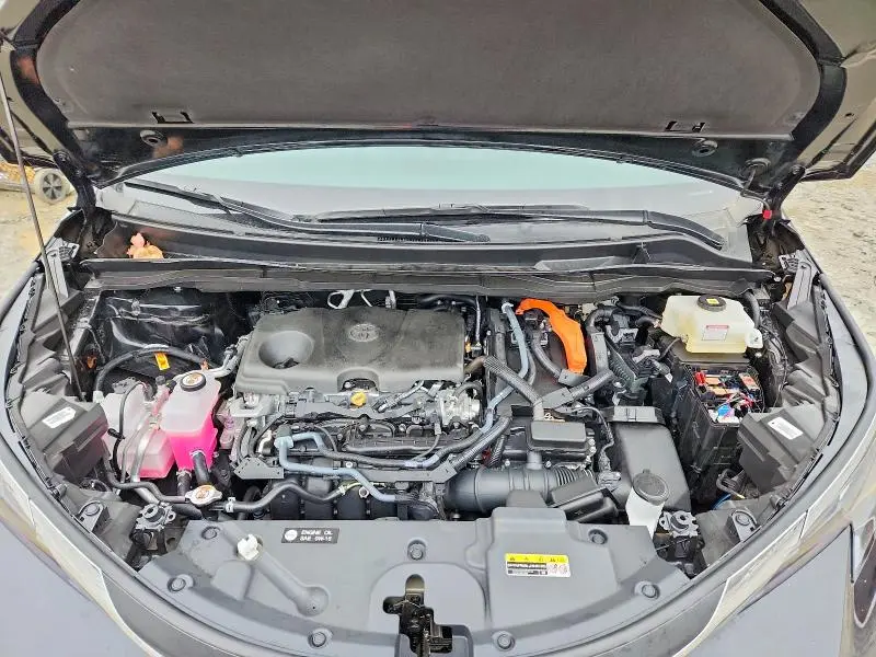 2025 TOYOTA SIENNA LE  