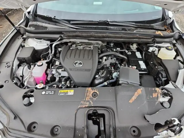 2024 LEXUS RX 350 BASE  