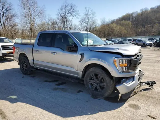 2023 FORD F150 SUPERCREW  