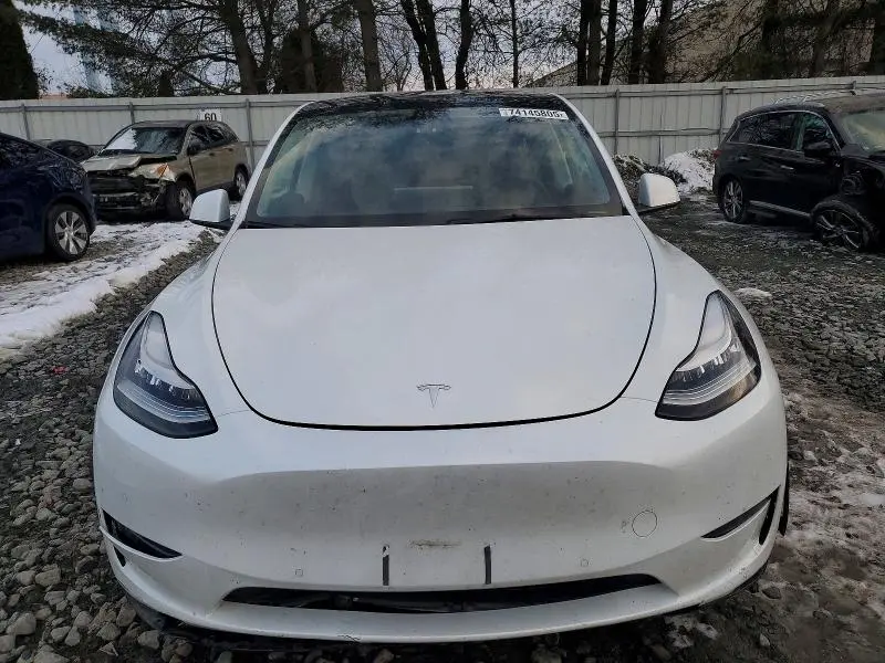2022 TESLA MODEL Y   