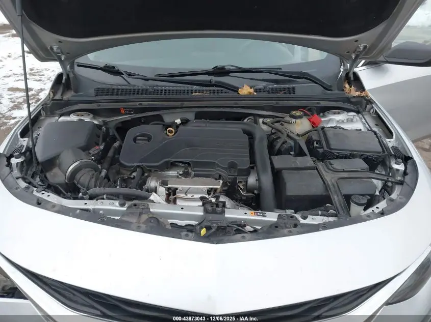 2019 CHEVROLET MALIBU 1FL