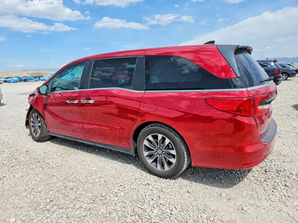 2024 HONDA ODYSSEY EXL  