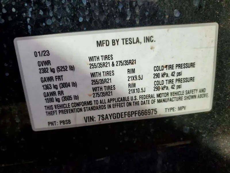 2023 TESLA MODEL Y   