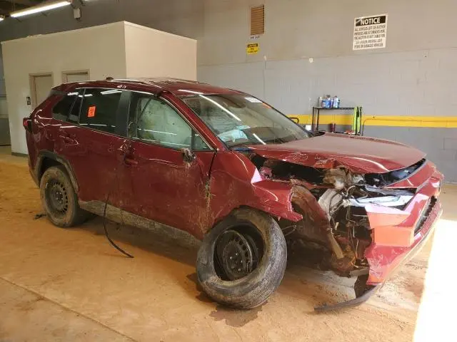 2024 TOYOTA RAV4 LE