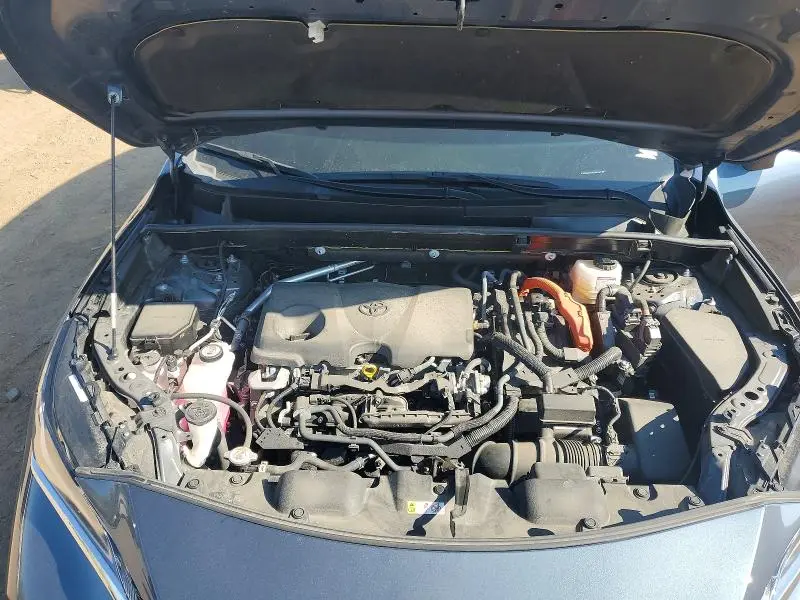2024 TOYOTA VENZA XLE  