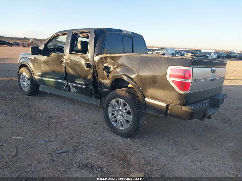 2013 FORD F-150 PLATINUM