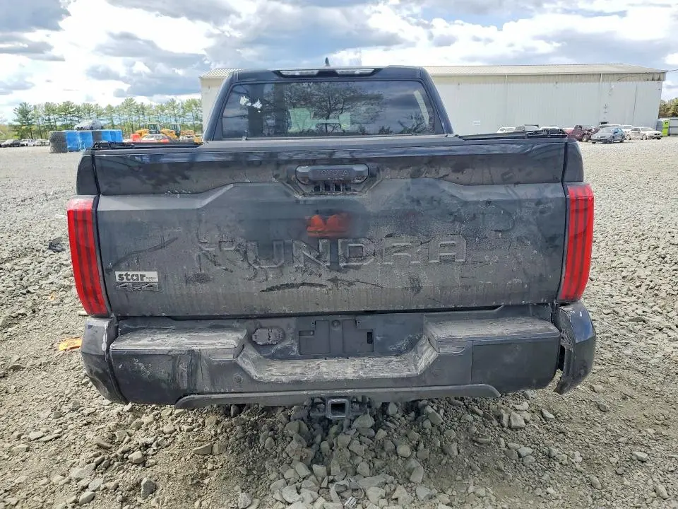 2024 TOYOTA TUNDRA SR5  