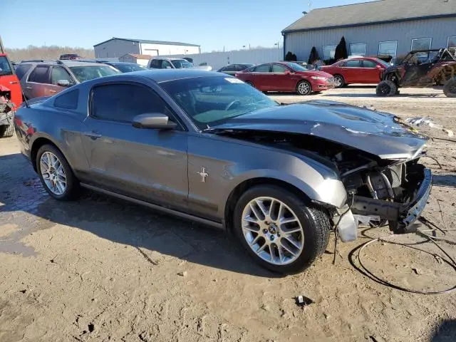 2013 FORD MUSTANG   