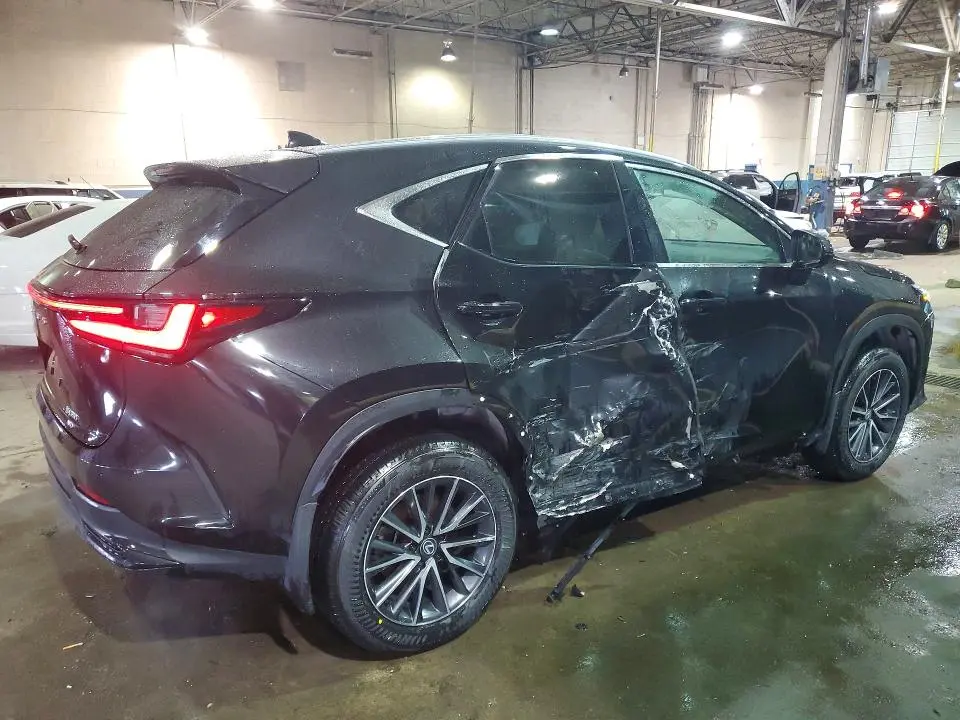 2024 LEXUS NX 350 BASE  