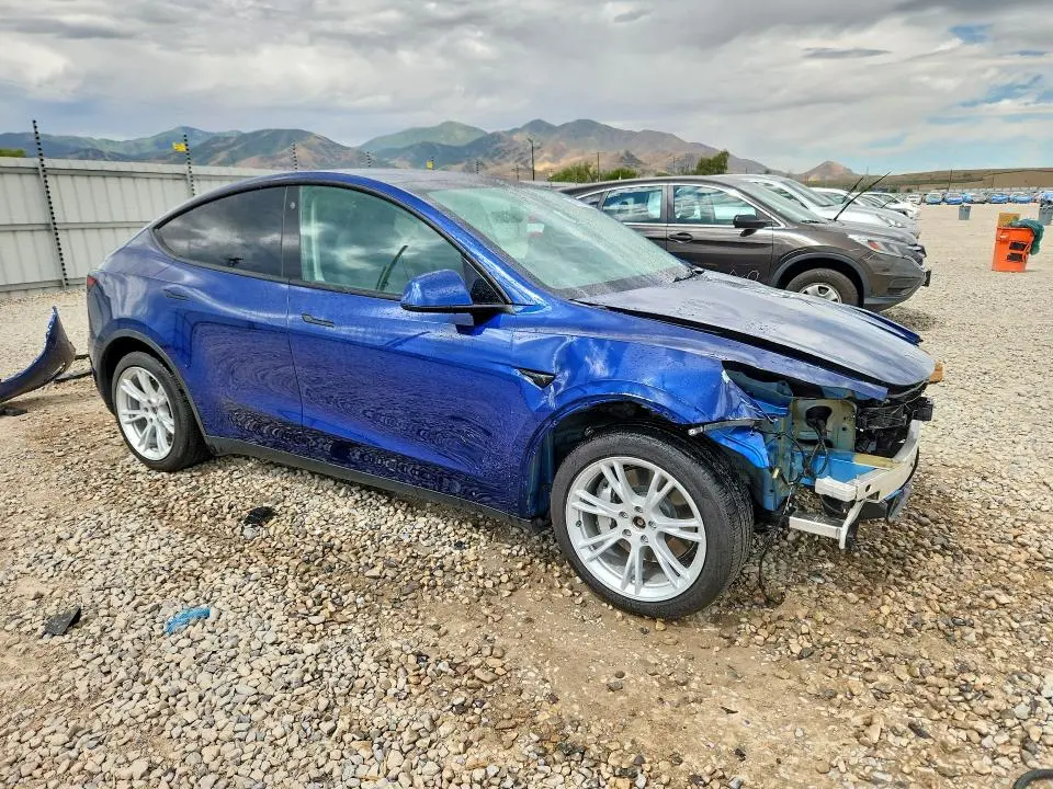 2021 TESLA MODEL Y   