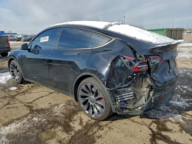 2024 TESLA MODEL Y   