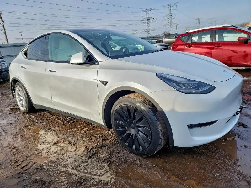 2021 TESLA MODEL Y   