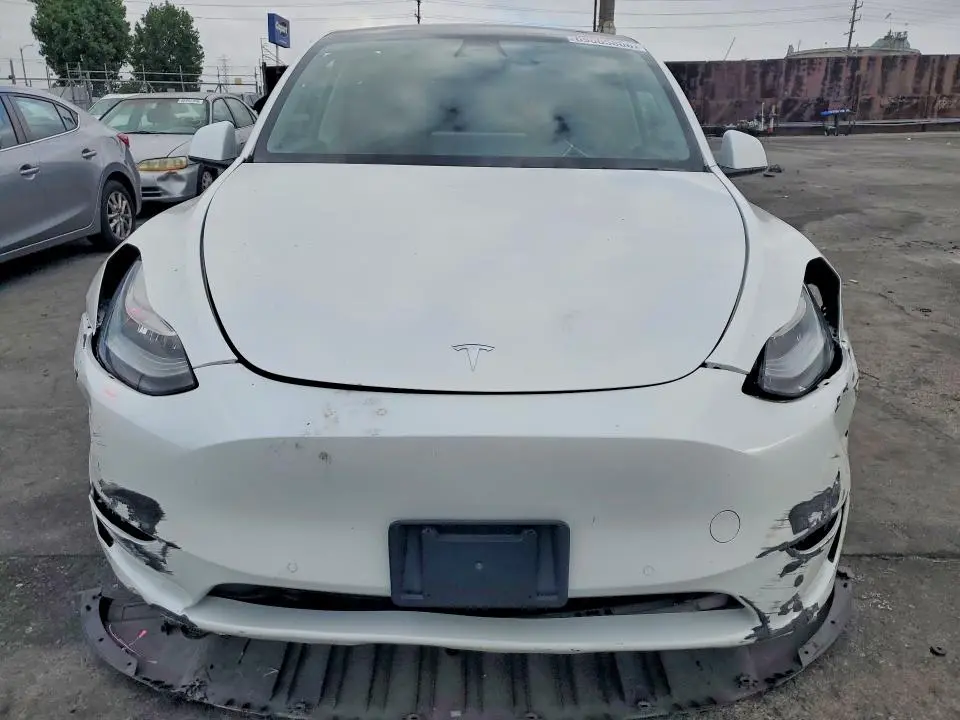 2020 TESLA MODEL Y   