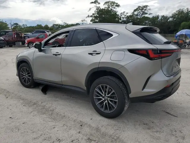 2024 LEXUS NX 250 PREMIUM  