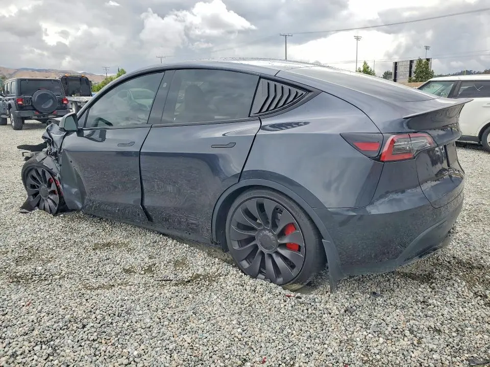 2024 TESLA MODEL Y   