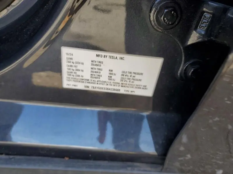 2025 TESLA MODEL Y   