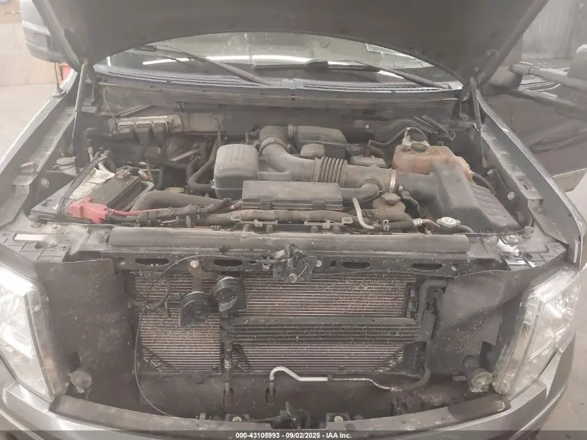 2010 FORD F-150 FX4/HARLEY-DAVIDSON/KING RANCH/LARIAT/PLATINUM/XL/XLT