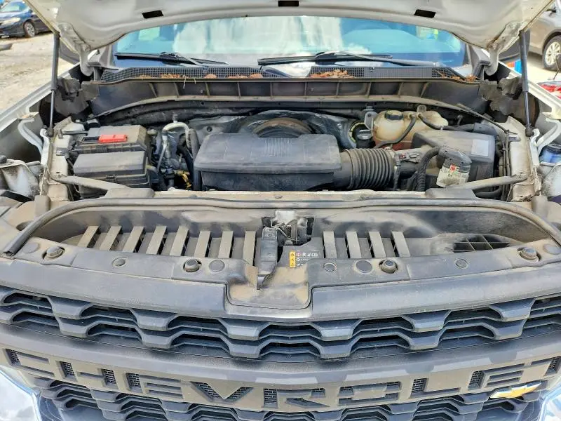 2019 CHEVROLET SILVERADO C1500  